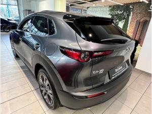 Mazda CX-30 Takumi Leder/Schiebedach/Allrad