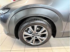 Mazda CX-30 Takumi Leder/Schiebedach/Allrad