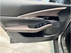 Mazda CX-30 Takumi Leder/Schiebedach/Allrad