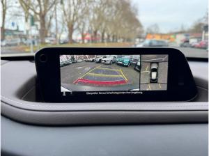 Mazda CX-30 Takumi Leder/Schiebedach/Allrad