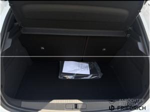 Opel Corsa F GS Allwetter Kamera CarPlay PDC Sitzhzg