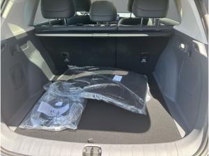 Leapmotor B10 Dynamic IRMSCHER Klimaautomatik Totwinkel DAB LED