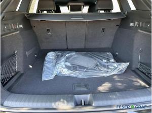 Audi Q6 e-tron S line business performance AHK