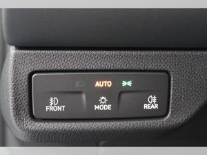 Cupra Terramar | SONDERAKTION | nur Gewerbe -14348