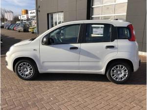 Fiat Panda Bicolore mit Citypaket - Sofort verfügbar - Bereitstellungskosten geschenkt 🚨 🎁