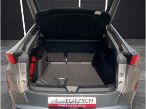 Cupra Tavascan Endurance ++ sofort verfügbar +++ LED Wäpu Navi VC ACC RFK SHZ 19"