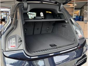 BMW ix iX xDrive45 M-Sportpaket AHK/IconicGlow/DA-PROF