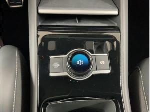 Volkswagen Tiguan R-line (AHK.Navi.Matrix-LED.Pano. St.-Hzg) 2.0l TDI DSG