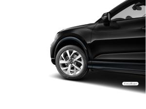 Audi Q2 advanced 35 TFSI S tronic RFK ACC