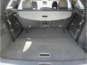 Renault Espace 🫢Sommer⛱️Sonne🌞Fahrspaß🏎️Iconic FH E-Tech 200 7-Sitzer