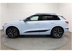 Audi Q6 e-tron SUV S line business 0,25% DW-Versteuerung
