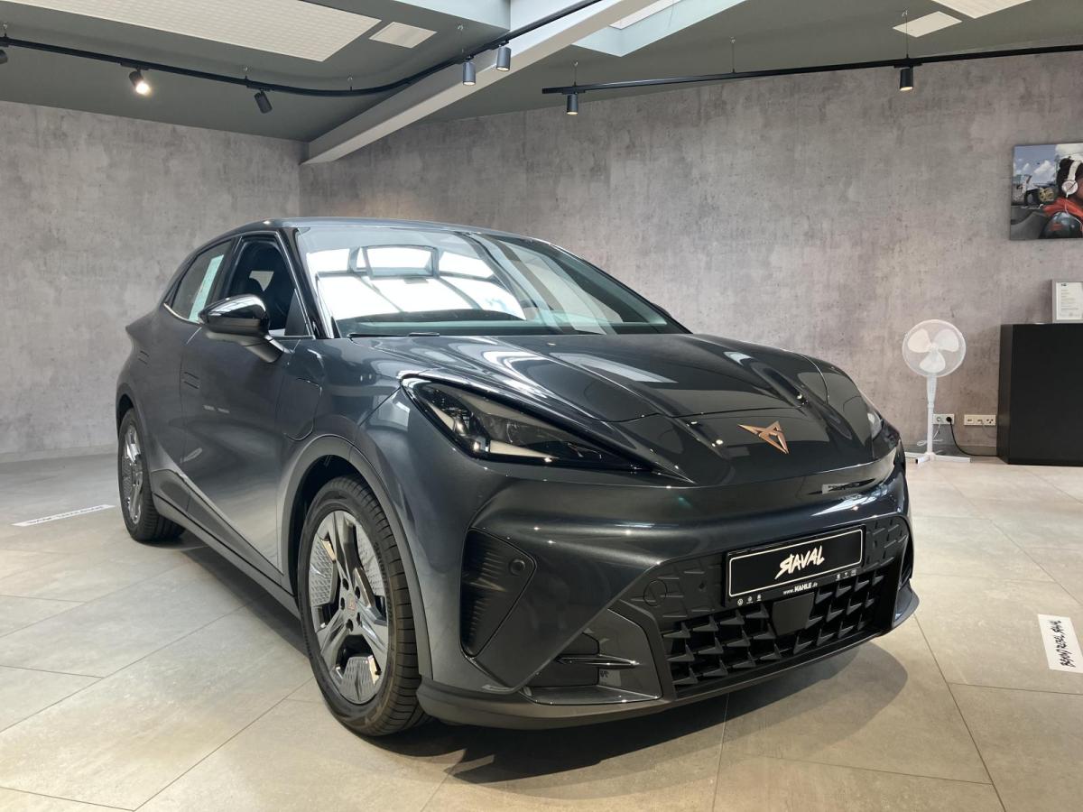Cupra Raval