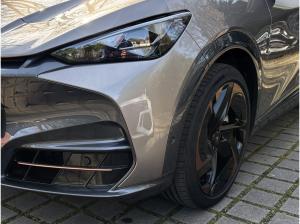 Cupra Tavascan Endurance Pano Matrix