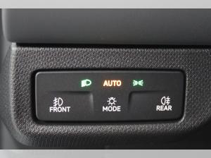 Cupra Terramar SONDERAKTION | nur Gewerbeleasing -14407