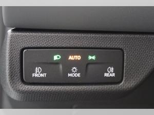 Cupra Terramar | SONDERAKTION | nur Gewerbe -14398