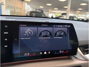 BMW X1 sDrive18i Kamera Lenkradheizung Totwinkelass.