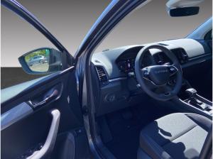 Skoda Karoq Tour 2.0 TDI DSG *PANO*AHK*SHZ*