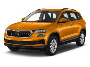 Skoda Karoq Selection 1.5 TSI DSG - Bestellfahrzeug