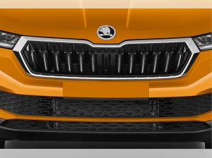 Skoda Karoq Selection 1.5 TSI DSG - Bestellfahrzeug