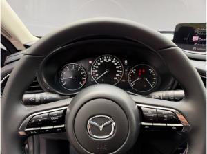 Mazda CX-30 5WGN 2.5L e-SKYACTIV G 140ps 6MT FWD Homura