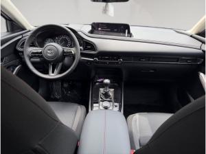 Mazda CX-30 5WGN 2.5L e-SKYACTIV G 140ps 6MT FWD Homura