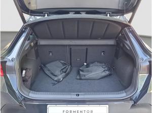 Cupra Formentor e-Hybrid ACC AHK Winter Navi