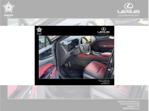 Lexus NX 450h+ Business ‼️  0,5-%-Regelung ‼️