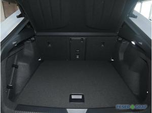 Cupra Tavascan VZ 4Drive Wärmepumpe,NAVI,SHZ