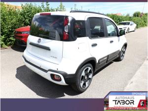 Fiat Panda Cross 5S PDC CarP/AndroidA PrivG 15Z NSW