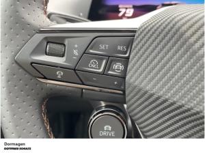Cupra Raval Endurance Edition Dynamic Plus PLASMA (Dormagen)