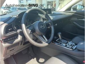 Mazda CX-30 Homura HeadUP Keyless elekt. Heckklappe