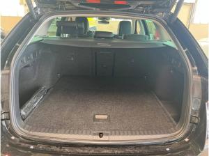 Skoda Octavia Combi Selection eTSI DSG