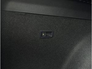 Cupra Formentor VZ 2.0 TSI DSG 4DRIVE BLACK ED. AHK|PA