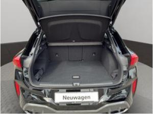 Cupra Terramar *Aktionsleasing*