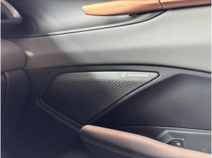 Cupra Terramar VZ 2.0TSI 4Drive DSG ABT 325PS AHK,HD-Matrix,PANO!