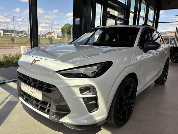 Cupra Terramar VZ 2.0TSI 4Drive DSG ABT 325PS AHK,HD-Matrix,PANO!