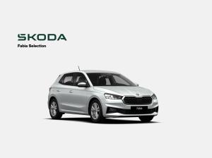 Skoda Fabia Tour 1.0 TSI 116 PS 7 Gang DSG Licht & Sicht Plus Rückfahrkamera Keyless