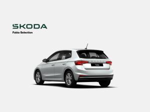 Skoda Fabia Tour 1.0 TSI 116 PS 7 Gang DSG Licht & Sicht Plus Rückfahrkamera Keyless