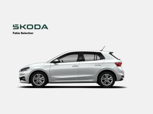 Skoda Fabia Tour 1.0 TSI 116 PS 7 Gang DSG Licht & Sicht Plus Rückfahrkamera Keyless
