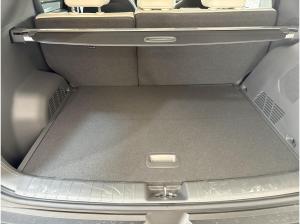 Kia EV3 81 kWh - 205 PS - Sofort verfügbar