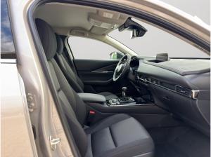 Mazda CX-30 2,5L 140PS 6-GANG HOMURA LED/SITZ+LENKRADHEIZUNG/KAMERA | Privat