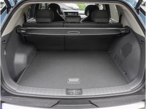 Kia EV3 81,4 kWh Earth Winter Upgrade DriveWise Design Sound Paket