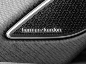 Volkswagen Tiguan 2.0 TSI R-Line 4Motion PANO AHK IQ.LIGHT H&K HUD BLACK STYLE