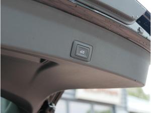 Cupra Terramar Terramar VZ 1.5 e-Hybrid 272 PS DSG|AHK|MATRIX