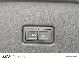 Audi RS Q8 performance **Angebot nur für DMB Mitglieder** (Duisburg)