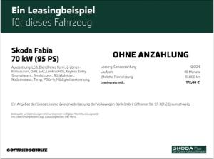 Skoda Fabia Tour 1.0 TSI 95 PS 5 Gang Licht & Sicht Plus Assistenzpaket Parken