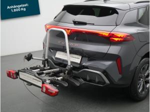 Cupra Terramar DSG