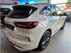 Ford Kuga PHEV Sound Edition FAP Pano Winter Matrix
