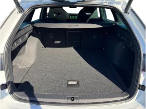 Skoda Octavia Combi RS TSI DSG|5-J-GARANTIE|PANO|AHK|