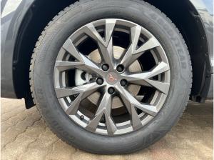 Cupra Terramar 1.5 eTSI DSG AHK/HD-Matrix/Navi/Standhzg/GJR